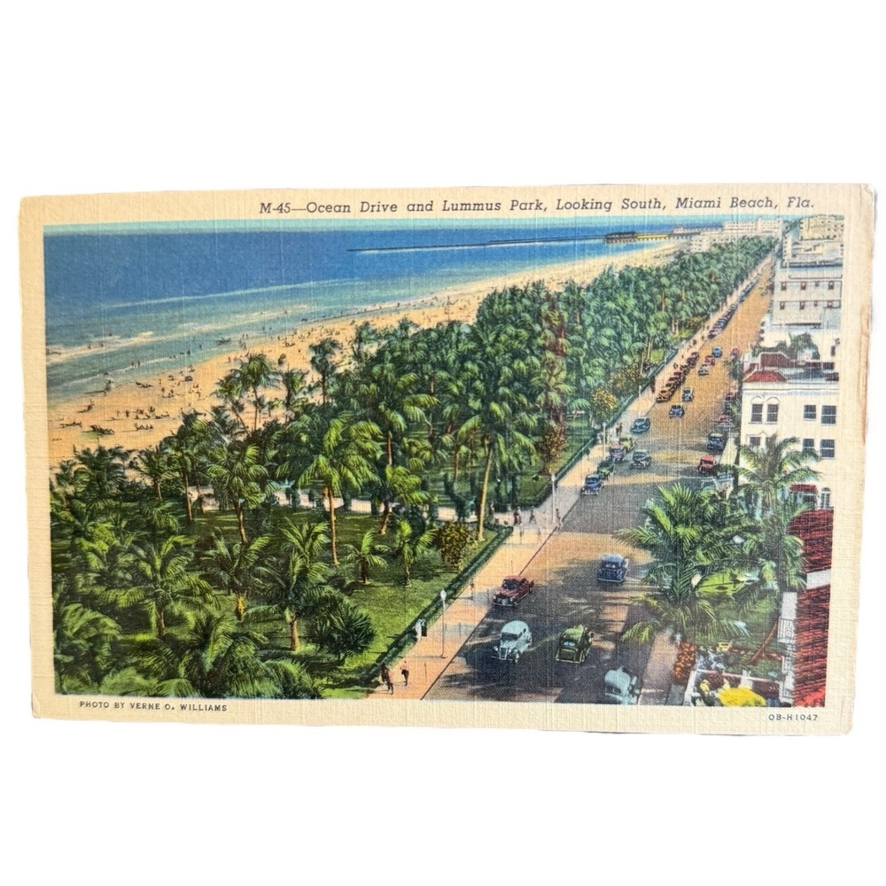 Vintage Linen Postcard Ocean Drive Lummus Park Miami Beach Flordia‎ Curteich